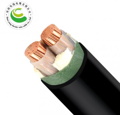 2芯  ZR-VV  2*25mm² 聚乙烯绝缘聚氯乙烯护套电力电缆