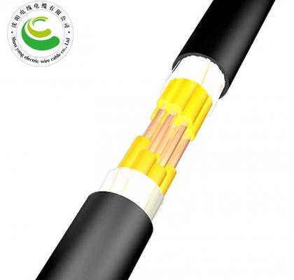10芯  ZR-KVV  1.0-2.5mm²  阻燃铜芯聚氯乙烯绝缘聚乙烯护套电缆
