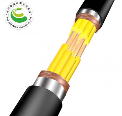 10芯  ZR-KVVP22  2--30芯*（ 1.5--2.5mm²）  阻燃铜芯聚氯乙烯绝缘聚乙烯护套钢带铠装电缆