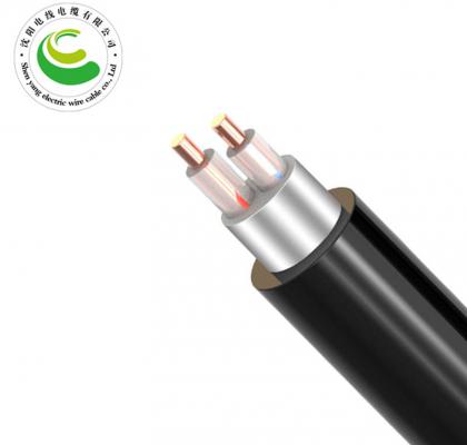 2芯（单根）  ZR-VV22  2*1.5mm²--2*50mm² 铜芯电缆 阻燃铜芯聚乙烯绝缘聚氯乙烯护套钢带铠装电力电缆