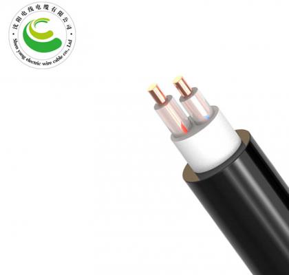 2芯（单根）  ZR-VV  2*1.5mm²--2*50mm² 铜芯电缆 阻燃铜芯聚氯乙烯绝缘聚氯乙烯护套电力电缆