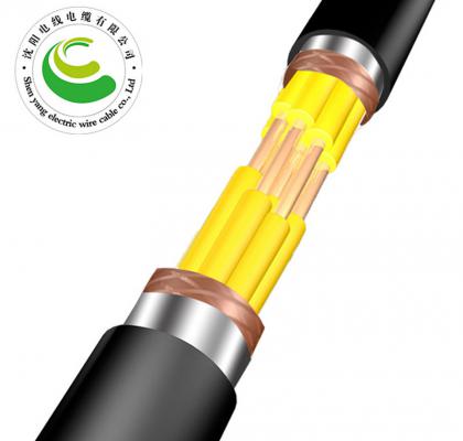 20芯  ZR-KVVP22  2--30芯*（ 1.5--2.5mm²）  阻燃铜芯聚氯乙烯绝缘聚乙烯护套钢带铠装电缆