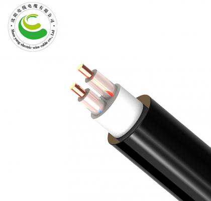 2芯（单根） ZR-YJV 2*1.5mm²--2*50mm² 交联聚乙烯绝缘聚氯乙烯护套电力电缆  铜芯电力电缆